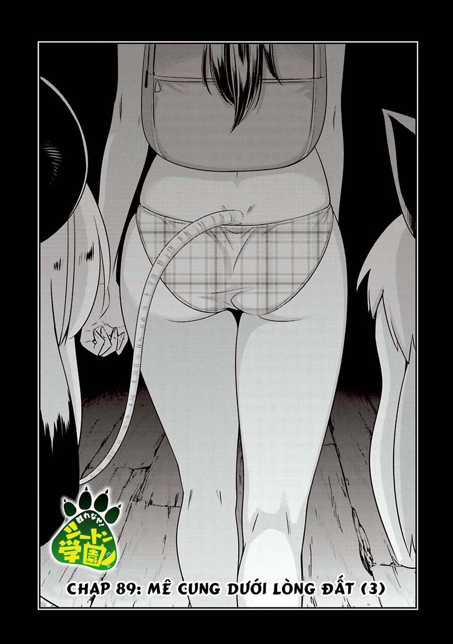 Murenase! Shiiton Gakuen Chapter 89 - 3