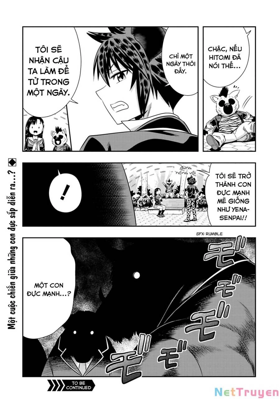 Murenase! Shiiton Gakuen Chapter 96 - 14