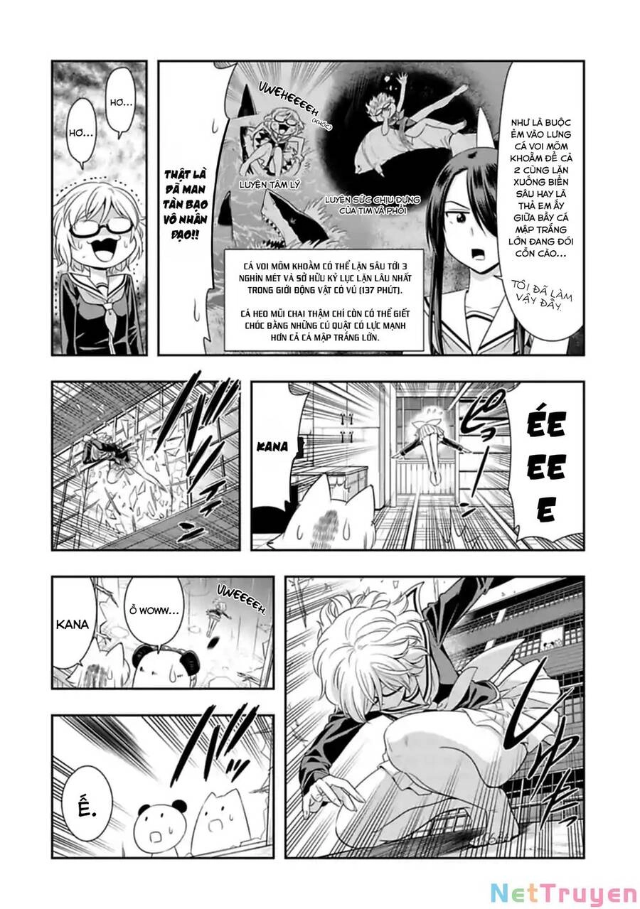 Murenase! Shiiton Gakuen Chapter 104 - 5