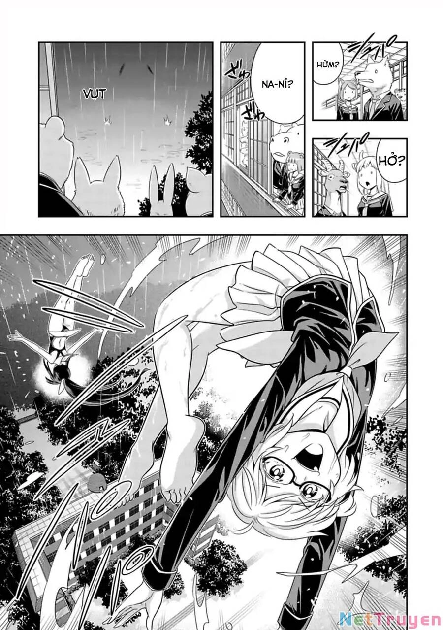 Murenase! Shiiton Gakuen Chapter 104 - 8