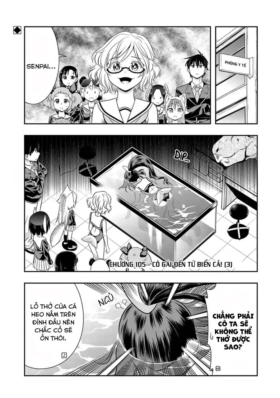 Murenase! Shiiton Gakuen Chapter 105 - 3