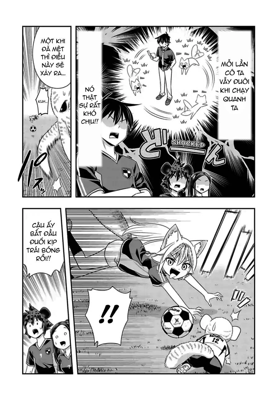 Murenase! Shiiton Gakuen Chapter 137 - 4