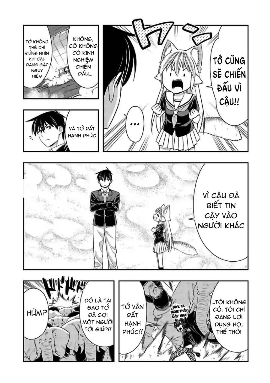 Murenase! Shiiton Gakuen Chapter 148 - 5