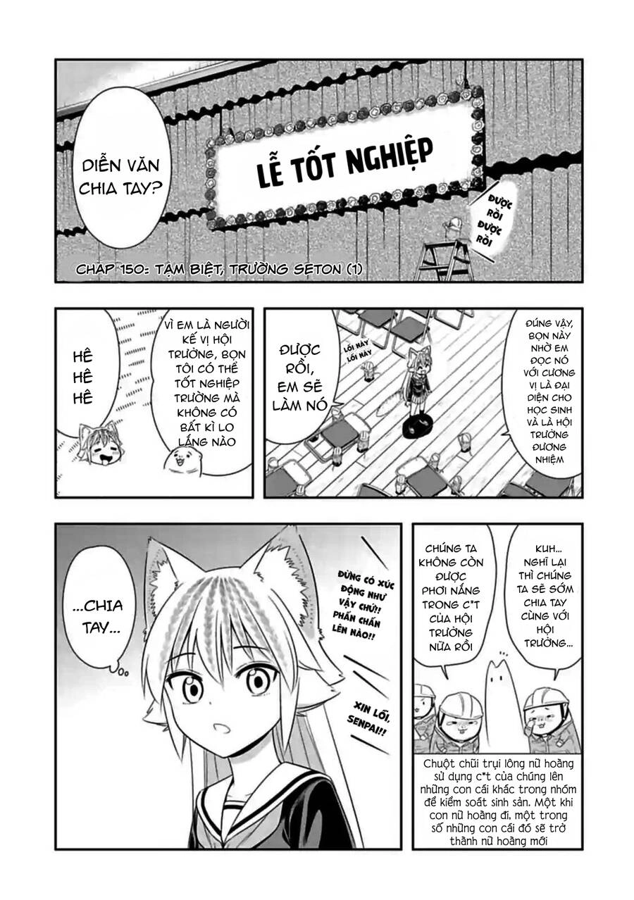 Murenase! Shiiton Gakuen Chapter 150 - 1