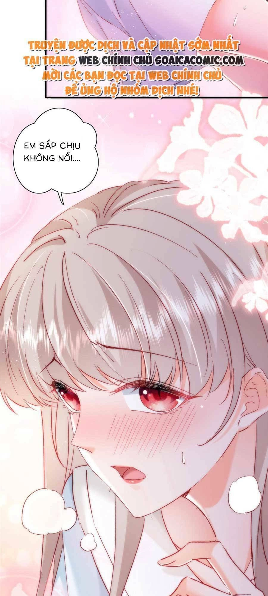 Cô Vợ Của Tôi Không Dễ Bắt Nạt Chapter 24 - 30