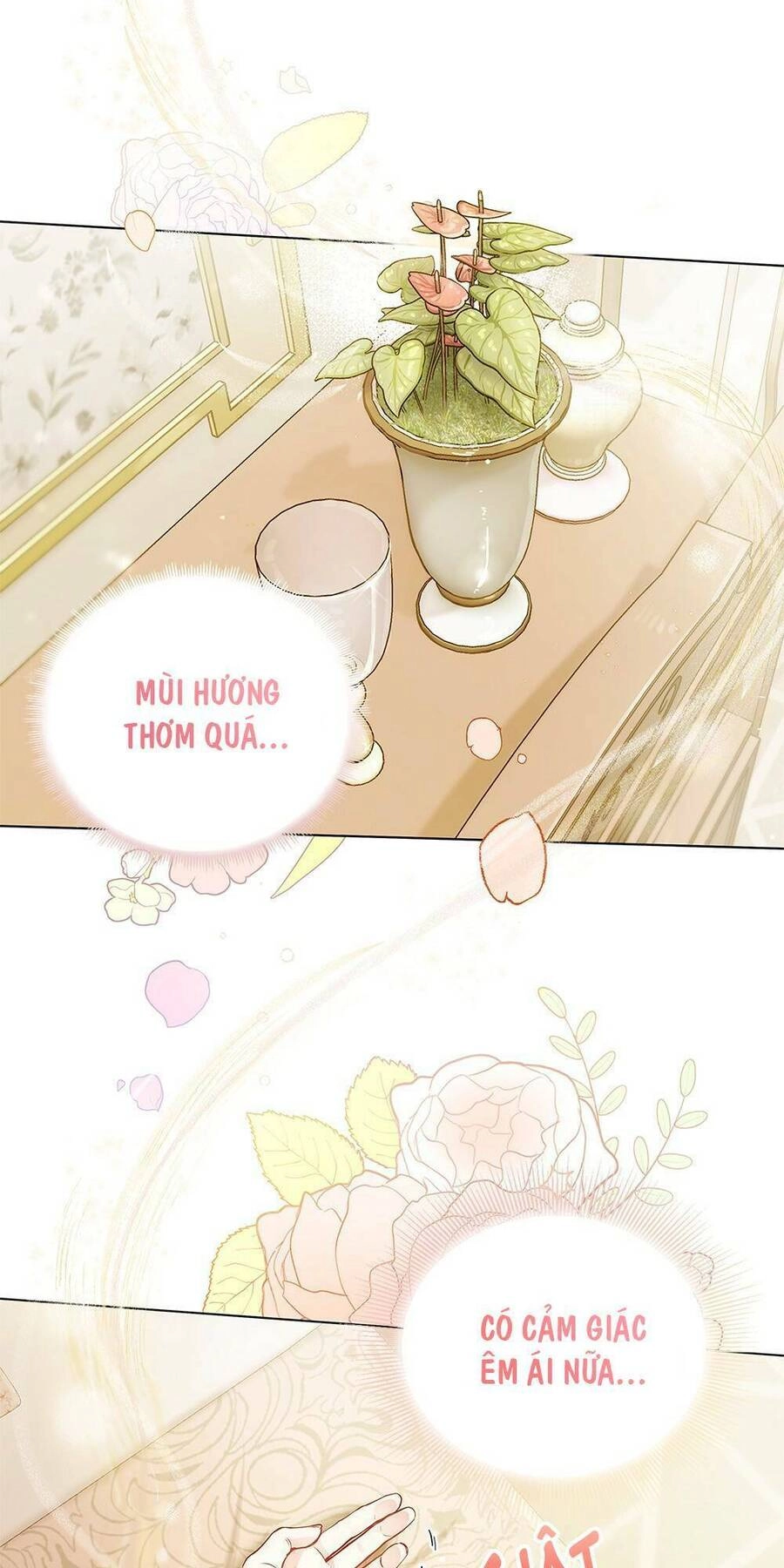 Tìm Lại Camellia Chapter 2 - 2