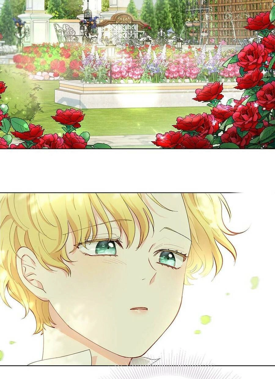 Tìm Lại Camellia Chapter 4 - 29