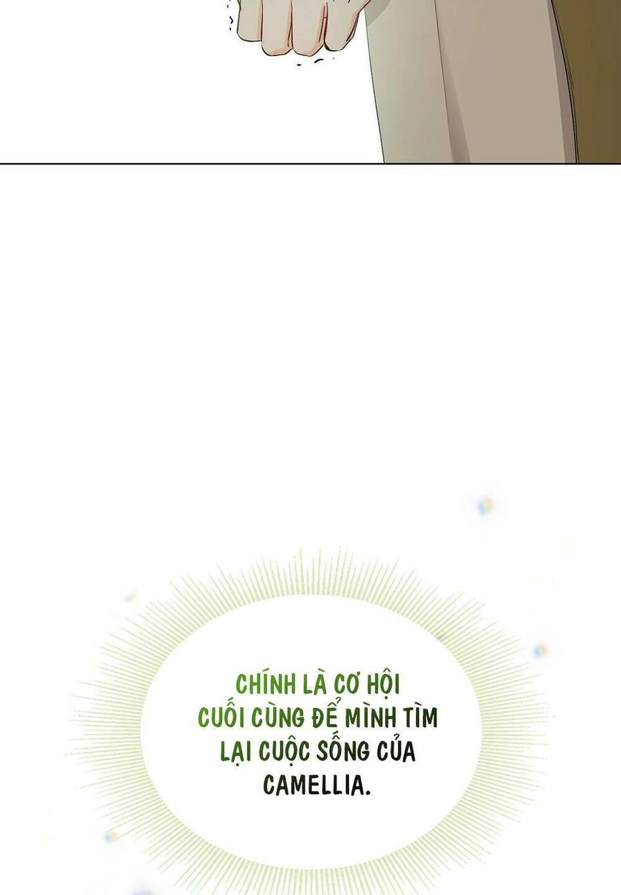 Tìm Lại Camellia Chapter 10 - 58