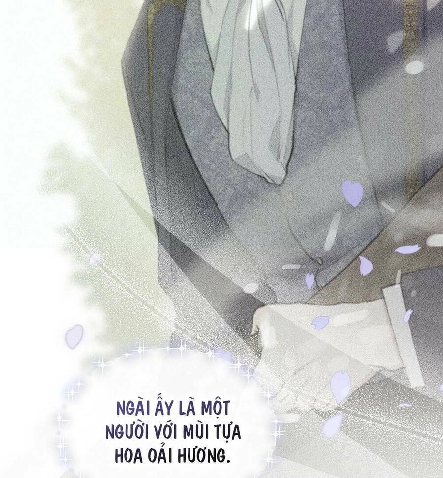 Tìm Lại Camellia Chapter 25 - 40