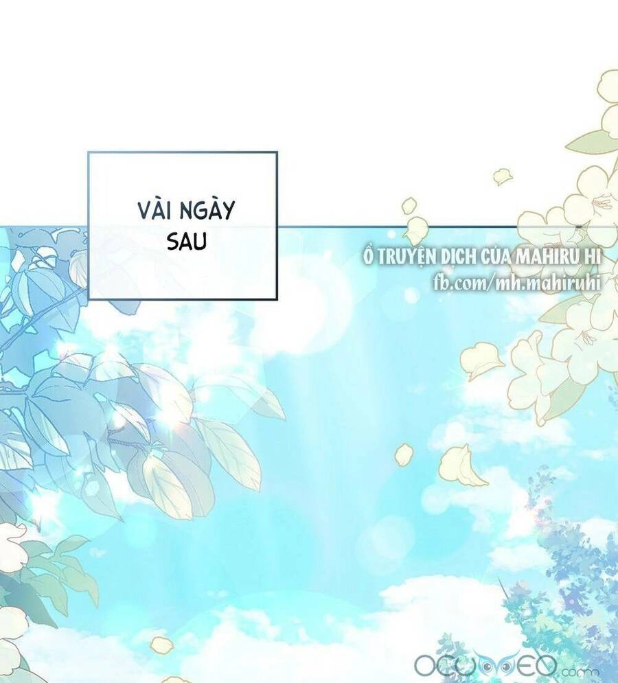 Tìm Lại Camellia Chapter 28 - 11