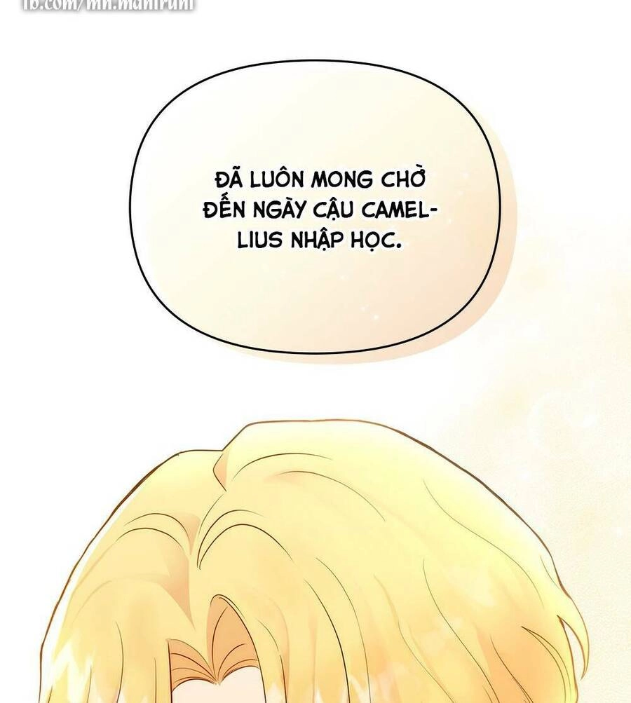 Tìm Lại Camellia Chapter 29 - 43