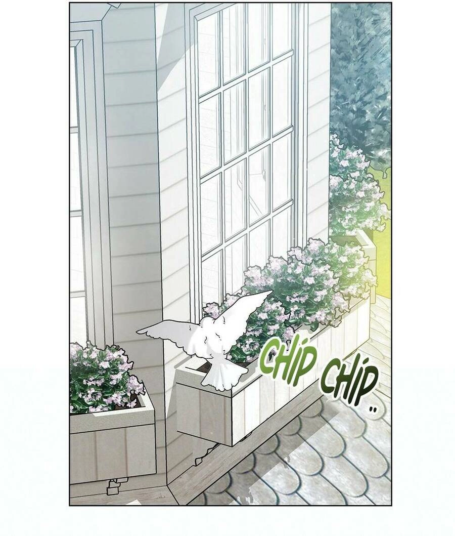 Tìm Lại Camellia Chapter 31 - 65