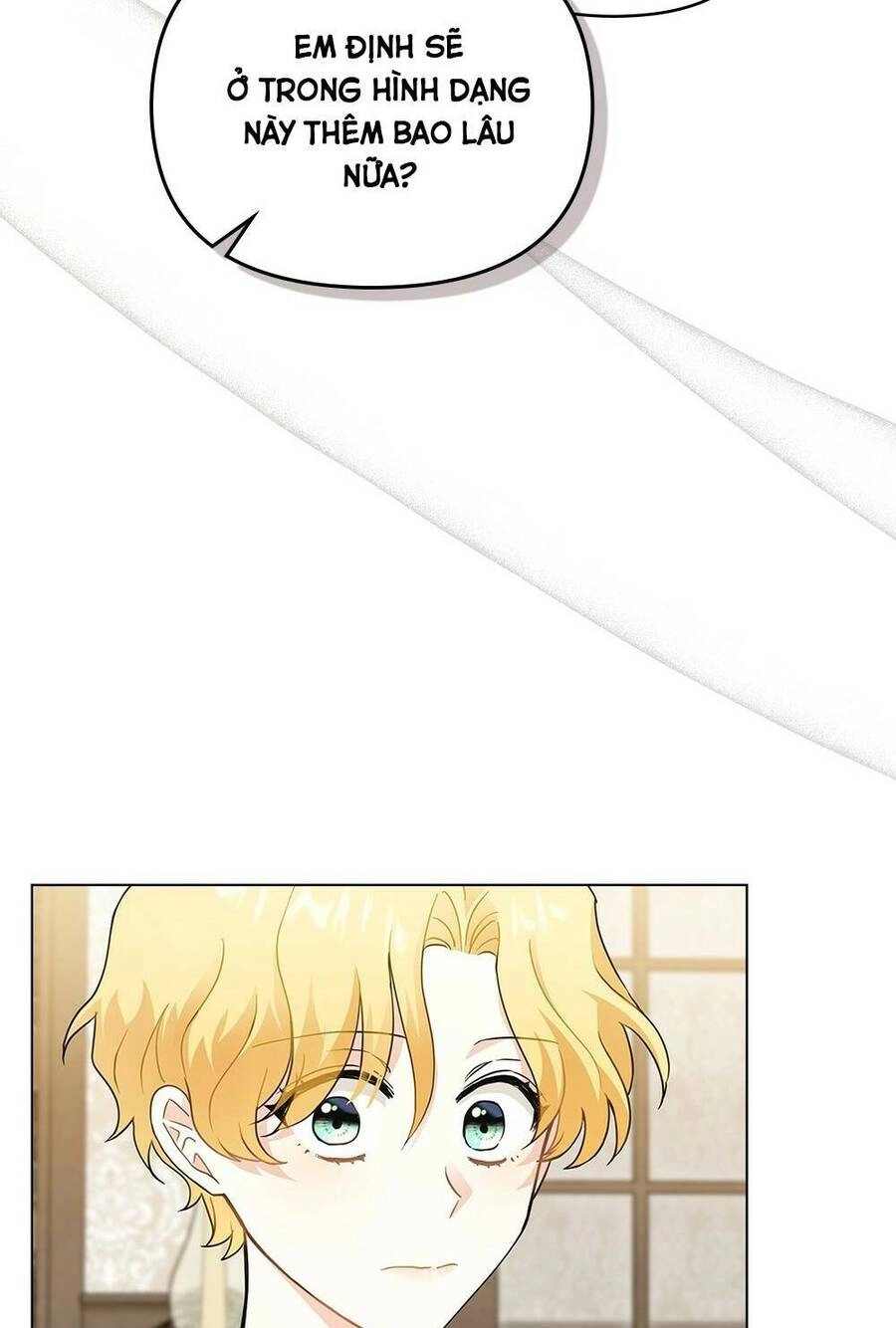 Tìm Lại Camellia Chapter 35 - 28