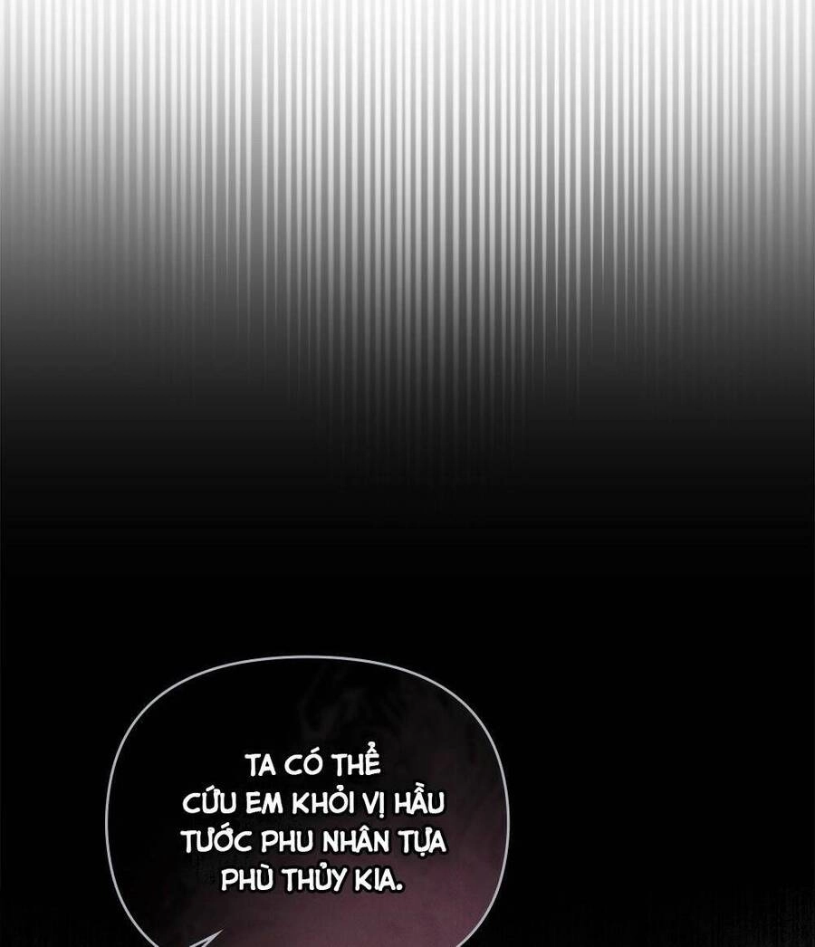 Tìm Lại Camellia Chapter 35 - 55