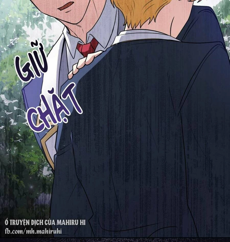 Tìm Lại Camellia Chapter 36 - 27