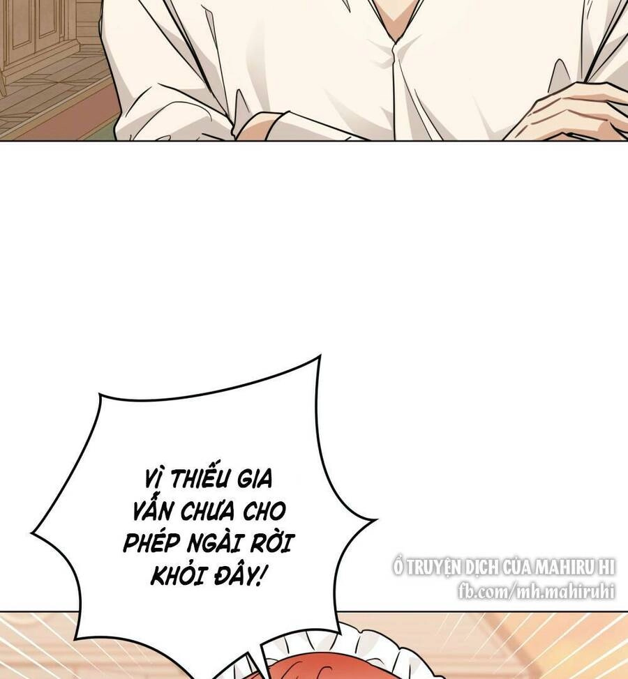 Tìm Lại Camellia Chapter 38 - 38