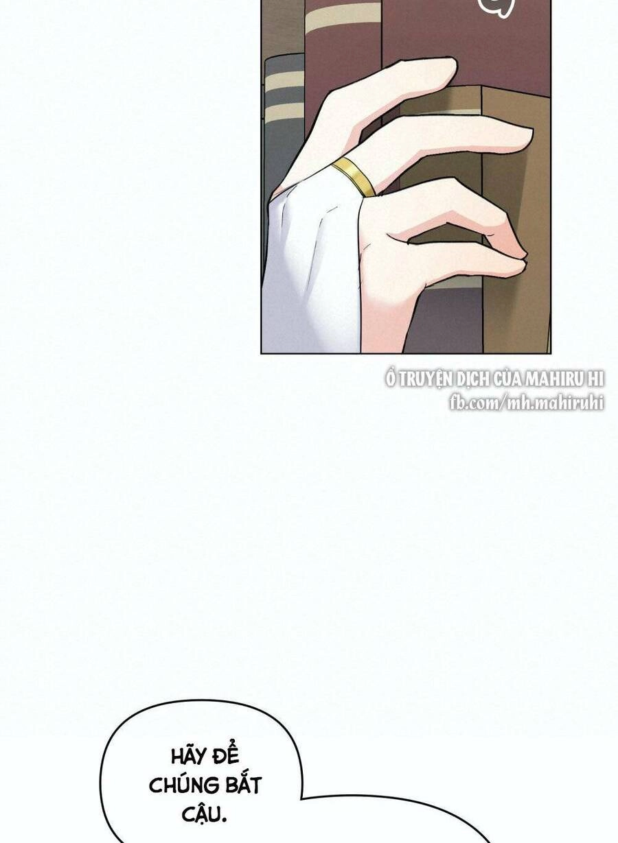 Tìm Lại Camellia Chapter 41 - 47