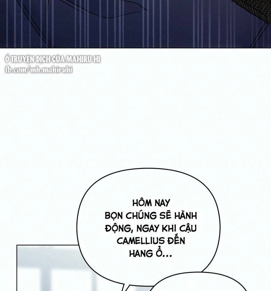 Tìm Lại Camellia Chapter 41 - 79