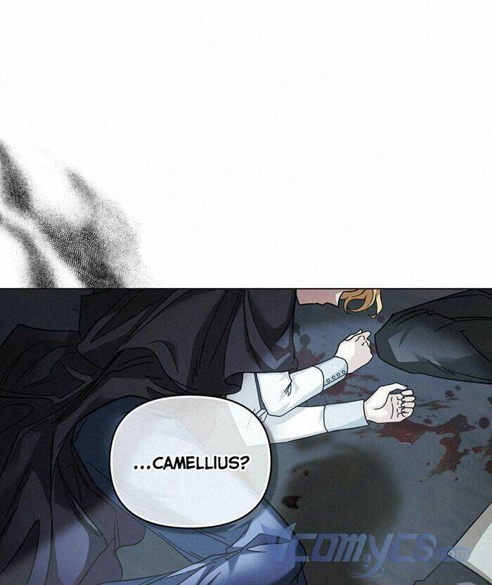 Tìm Lại Camellia Chapter 49 - 3