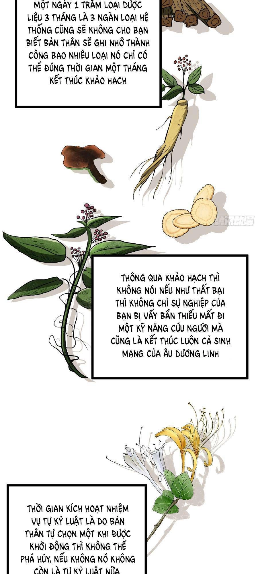 Tự Kỷ Luật Ta Đây Bất Khả Chiến Bại Chapter 47 - 33