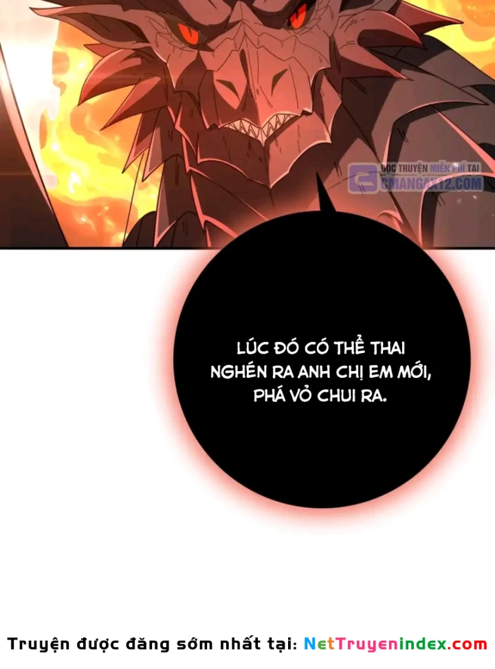 Toàn Dân Chuyển Chức: Ngự Long Sư Là Chức Nghiệp Yếu Nhất? Chapter 204 - 8