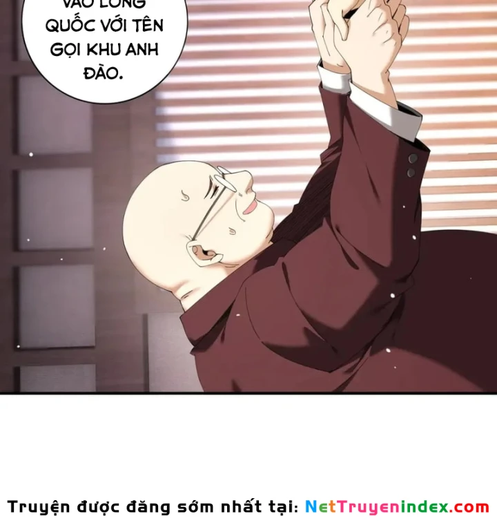 Toàn Dân Chuyển Chức: Ngự Long Sư Là Chức Nghiệp Yếu Nhất? Chapter 213 - 13