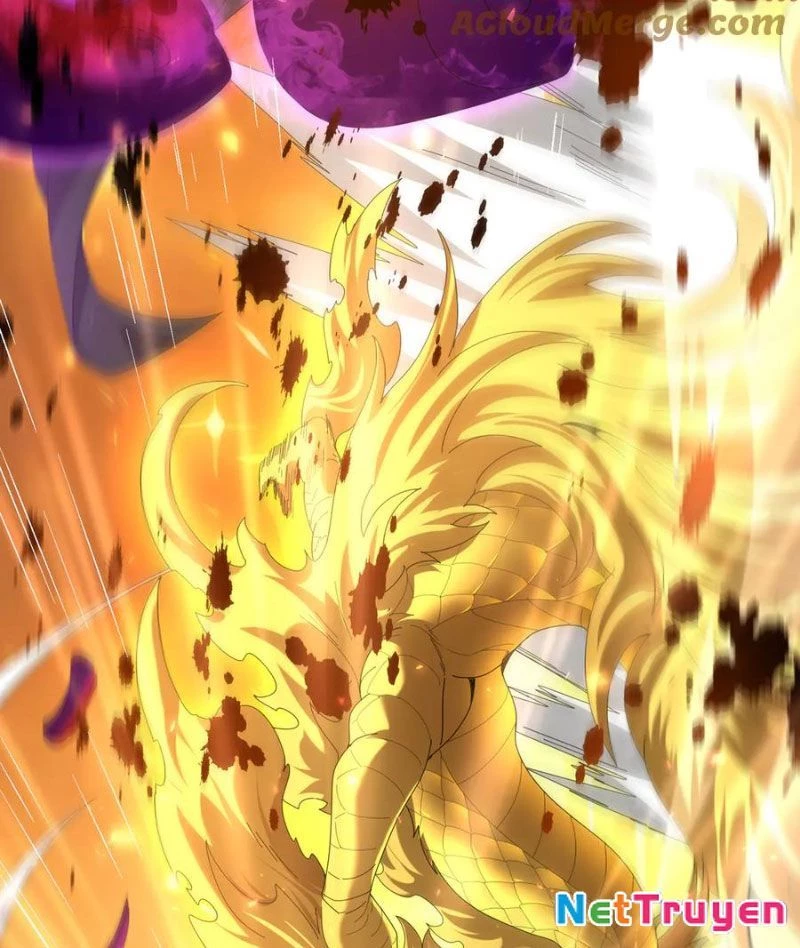 Toàn Dân Chuyển Chức: Ngự Long Sư Là Chức Nghiệp Yếu Nhất? Chapter 104 - 76