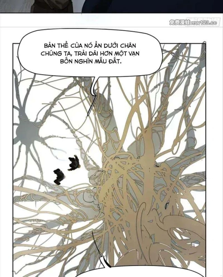 Truyền Võ Chapter 503 - 13