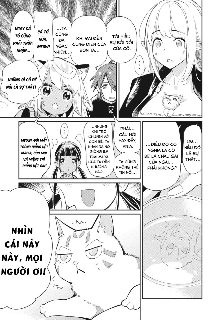 "Behemoth" Hạng S bị nhầm là mèo và trở thành hiệp sĩ (thú cưng) của nàng Elf Chapter 61 - 11