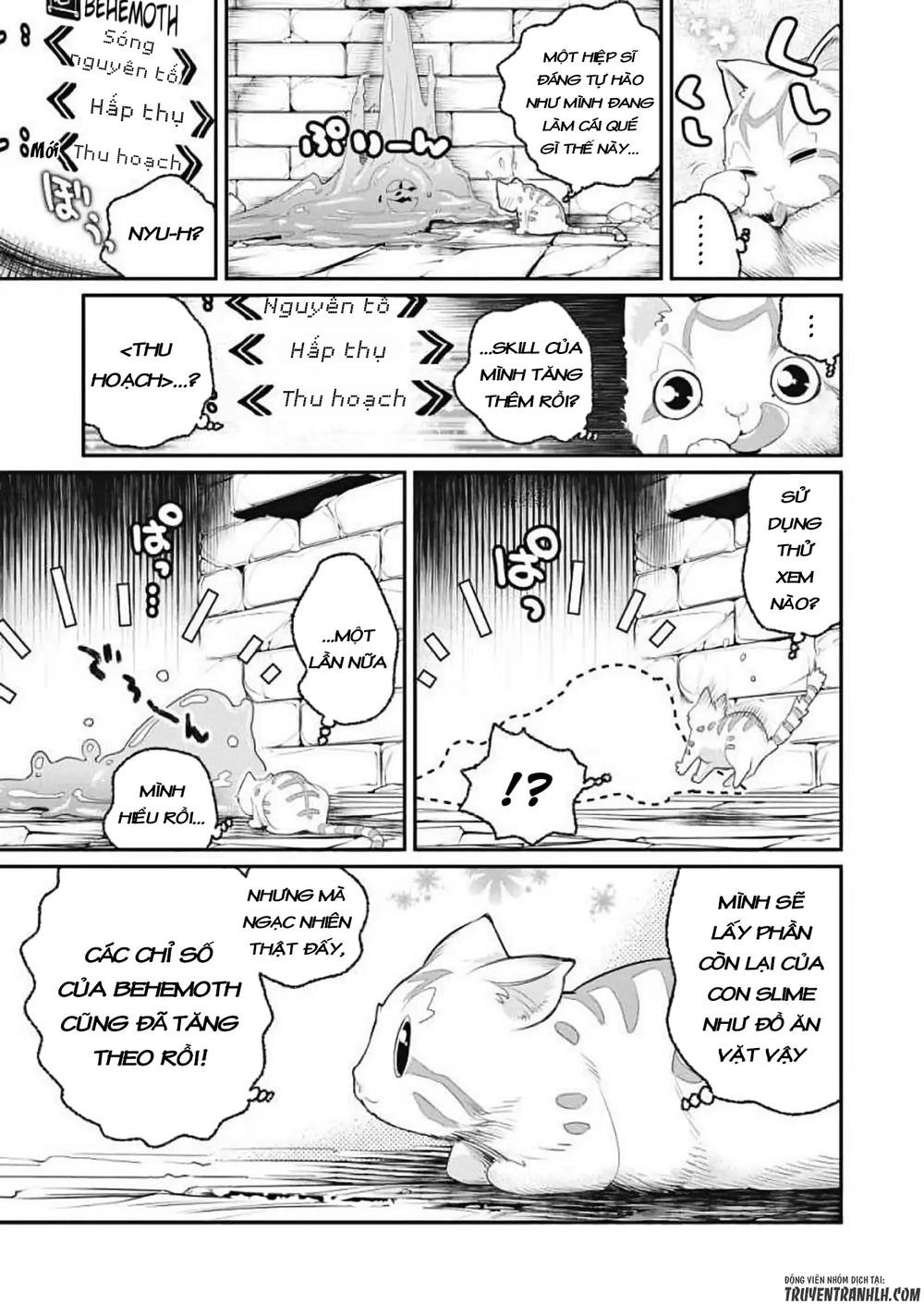 "Behemoth" Hạng S bị nhầm là mèo và trở thành hiệp sĩ (thú cưng) của nàng Elf Chapter 1 - 16
