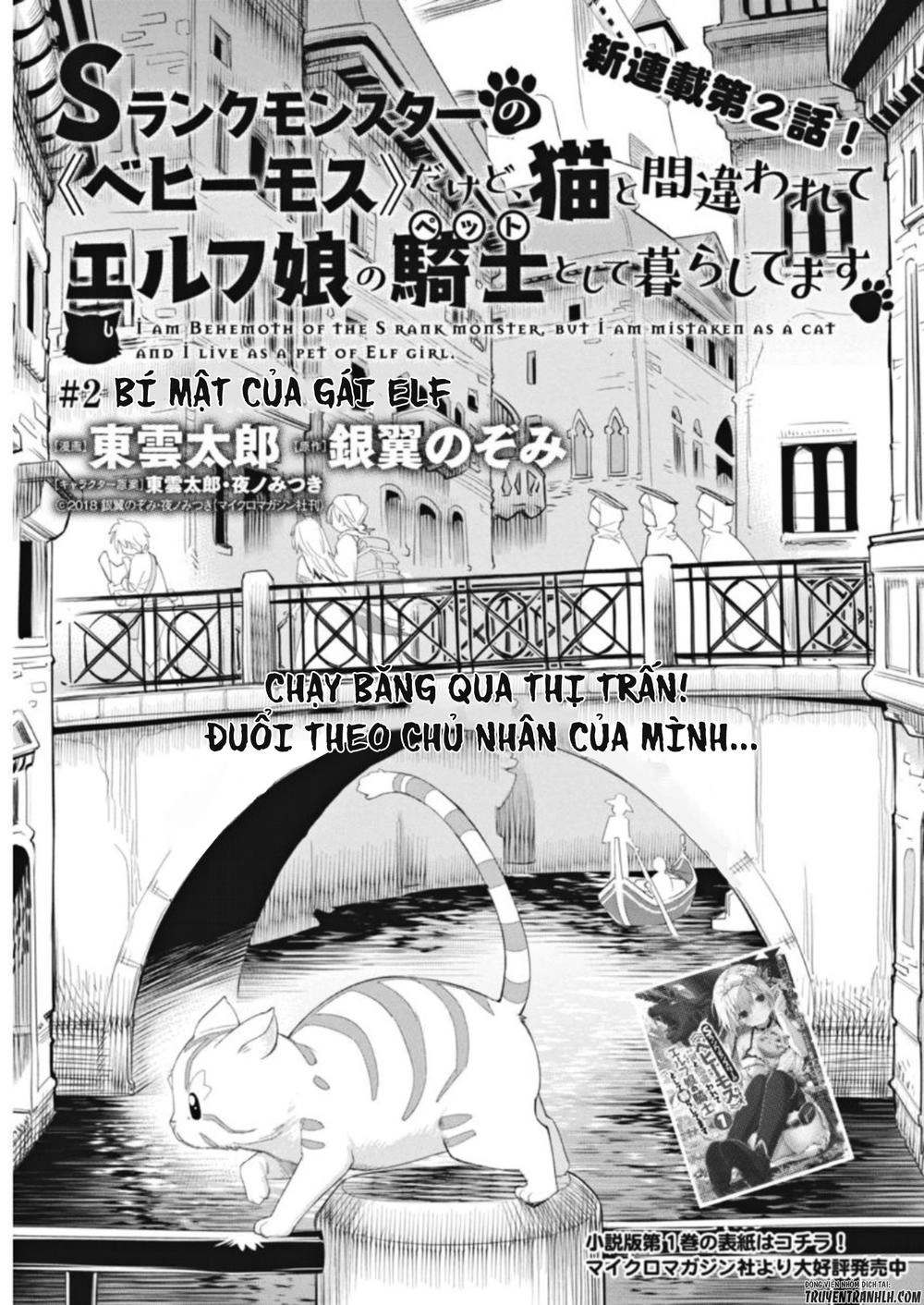 "Behemoth" Hạng S bị nhầm là mèo và trở thành hiệp sĩ (thú cưng) của nàng Elf Chapter 2 - 4