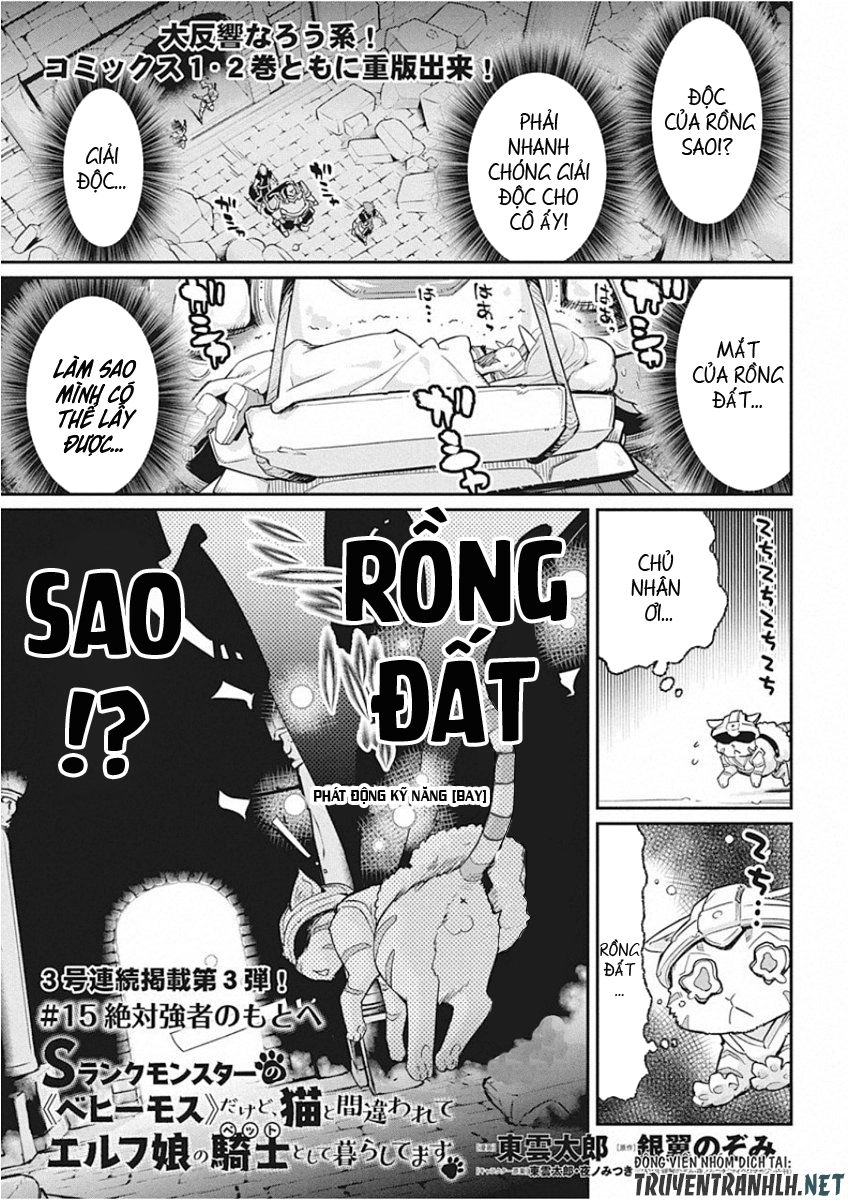 "Behemoth" Hạng S bị nhầm là mèo và trở thành hiệp sĩ (thú cưng) của nàng Elf Chapter 15 - 3