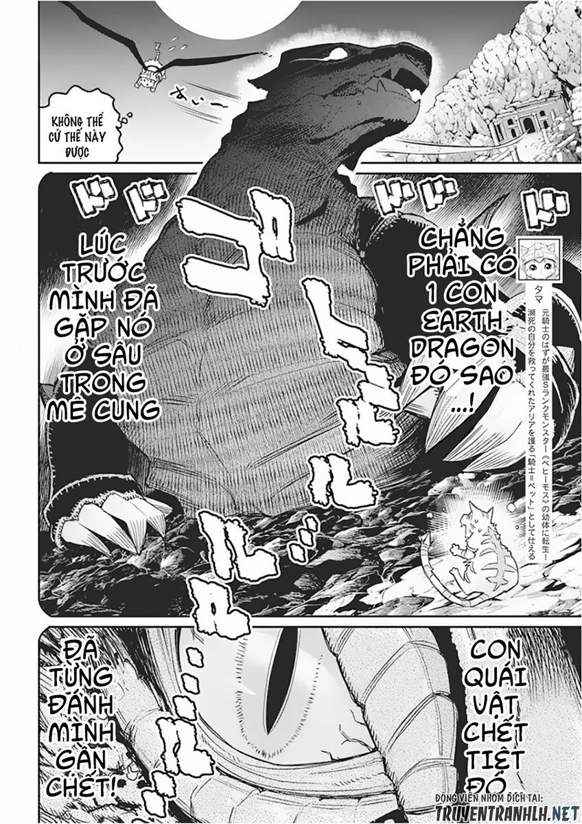 "Behemoth" Hạng S bị nhầm là mèo và trở thành hiệp sĩ (thú cưng) của nàng Elf Chapter 15 - 4
