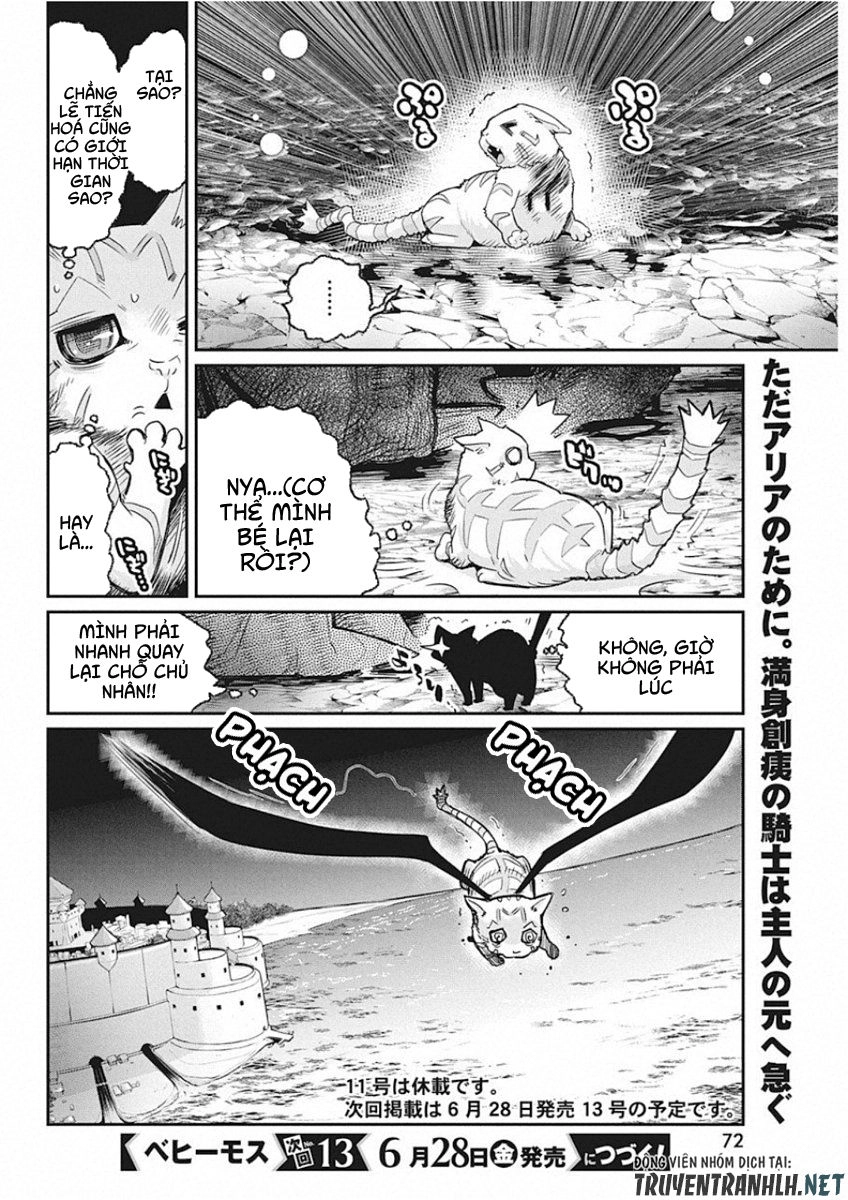 "Behemoth" Hạng S bị nhầm là mèo và trở thành hiệp sĩ (thú cưng) của nàng Elf Chapter 15 - 20