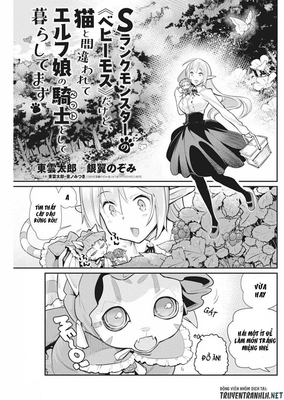 "Behemoth" Hạng S bị nhầm là mèo và trở thành hiệp sĩ (thú cưng) của nàng Elf Chapter 19 - 3