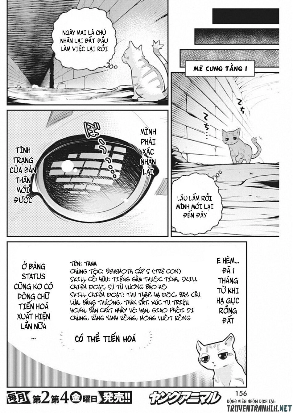 "Behemoth" Hạng S bị nhầm là mèo và trở thành hiệp sĩ (thú cưng) của nàng Elf Chapter 19 - 10