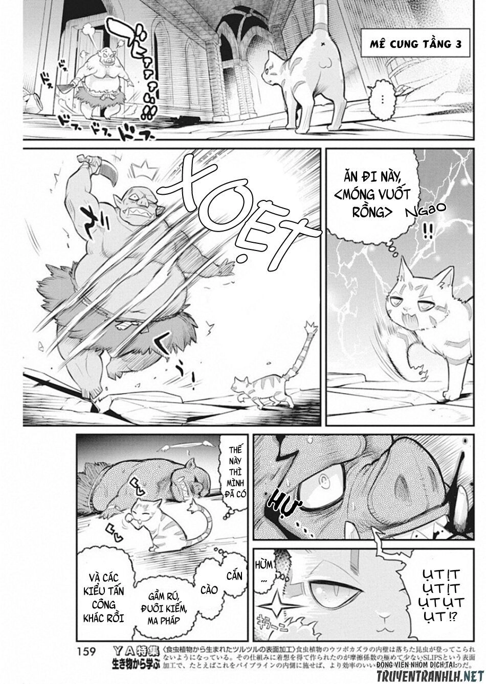 "Behemoth" Hạng S bị nhầm là mèo và trở thành hiệp sĩ (thú cưng) của nàng Elf Chapter 19 - 13