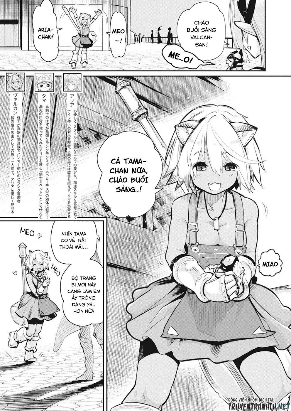 "Behemoth" Hạng S bị nhầm là mèo và trở thành hiệp sĩ (thú cưng) của nàng Elf Chapter 20 - 3