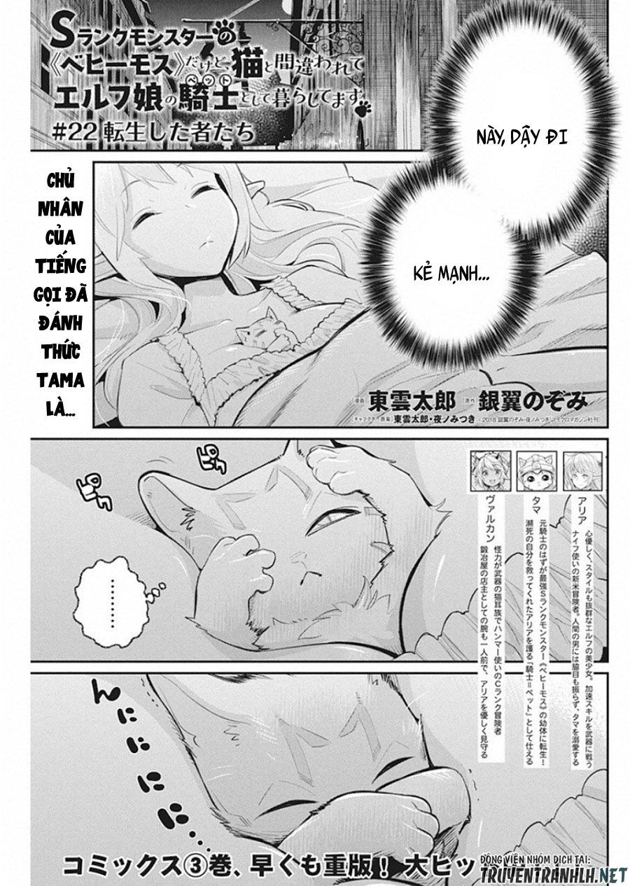 "Behemoth" Hạng S bị nhầm là mèo và trở thành hiệp sĩ (thú cưng) của nàng Elf Chapter 22 - 3