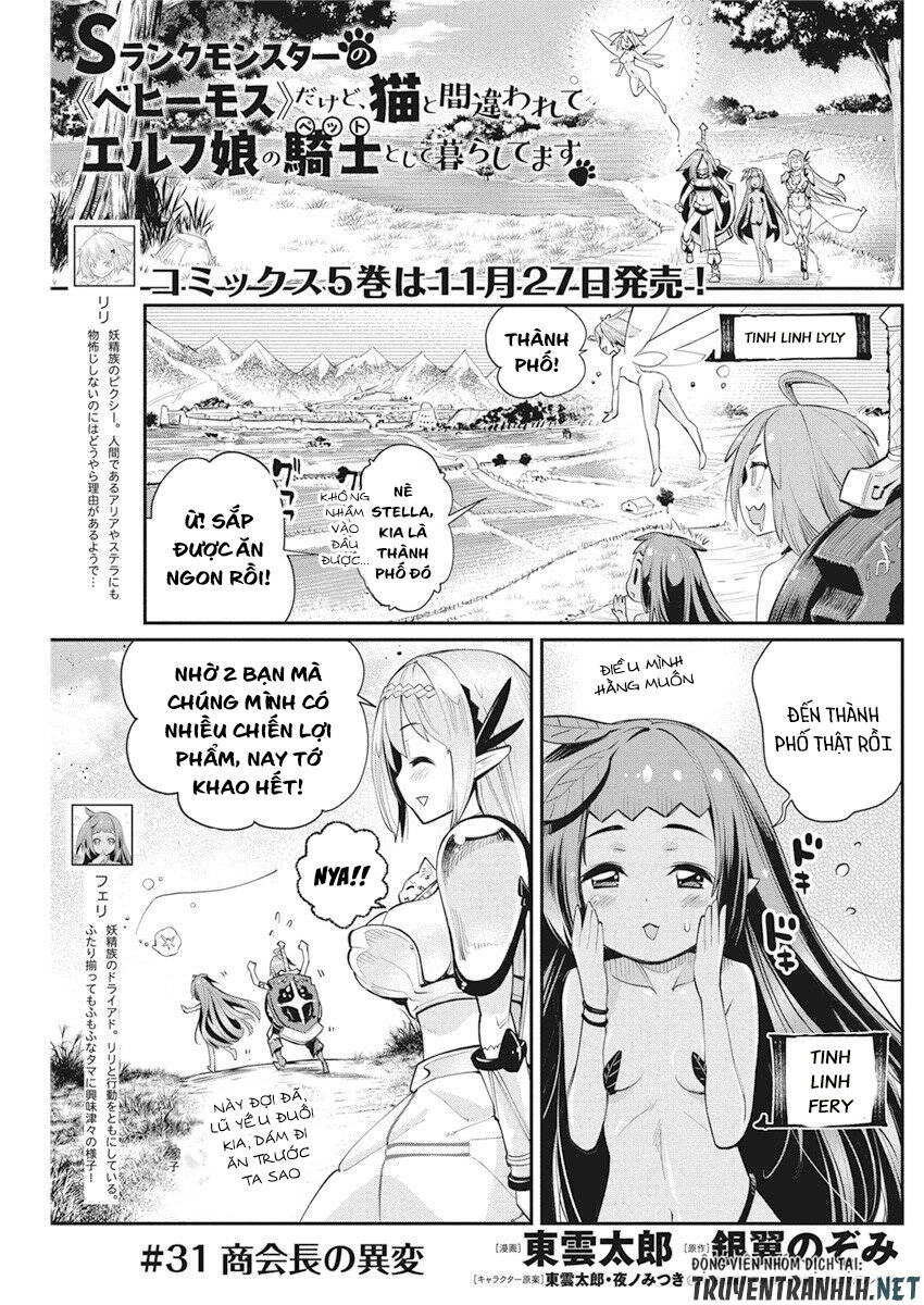 "Behemoth" Hạng S bị nhầm là mèo và trở thành hiệp sĩ (thú cưng) của nàng Elf Chapter 31 - 3