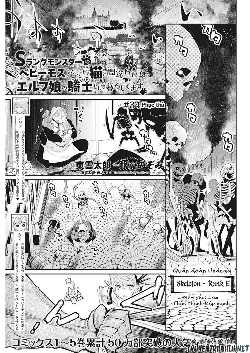 "Behemoth" Hạng S bị nhầm là mèo và trở thành hiệp sĩ (thú cưng) của nàng Elf Chapter 34 - 3