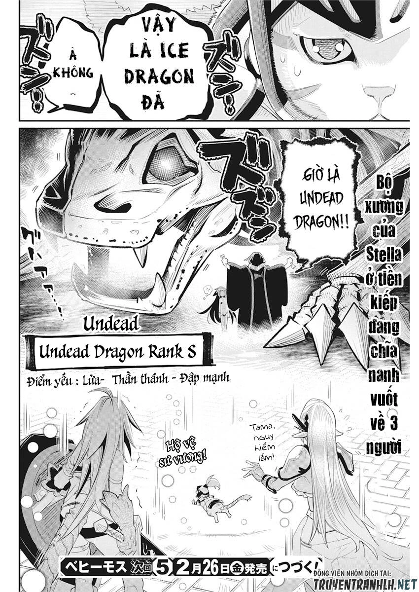 "Behemoth" Hạng S bị nhầm là mèo và trở thành hiệp sĩ (thú cưng) của nàng Elf Chapter 34 - 23