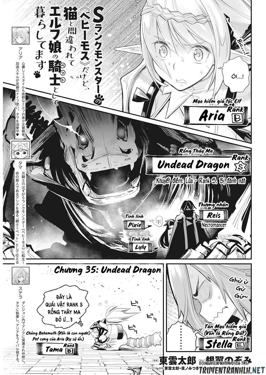 "Behemoth" Hạng S bị nhầm là mèo và trở thành hiệp sĩ (thú cưng) của nàng Elf Chapter 35 - 3