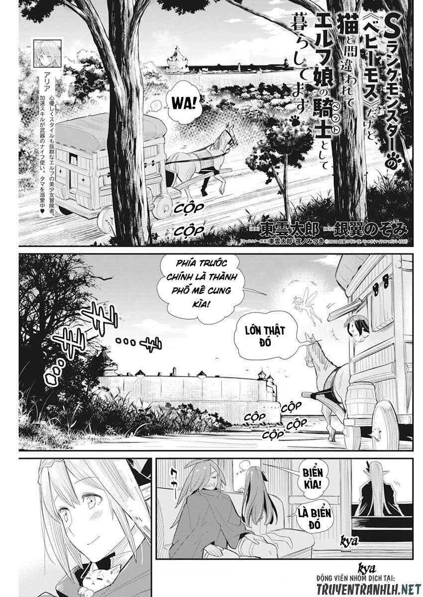 "Behemoth" Hạng S bị nhầm là mèo và trở thành hiệp sĩ (thú cưng) của nàng Elf Chapter 37 - 2