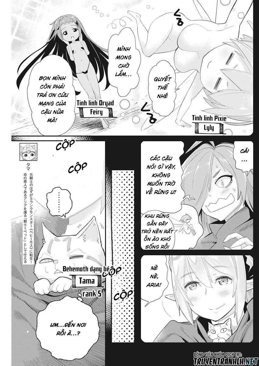 "Behemoth" Hạng S bị nhầm là mèo và trở thành hiệp sĩ (thú cưng) của nàng Elf Chapter 37 - 4