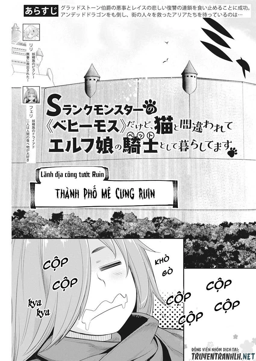 "Behemoth" Hạng S bị nhầm là mèo và trở thành hiệp sĩ (thú cưng) của nàng Elf Chapter 37 - 6