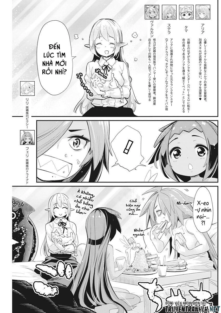 "Behemoth" Hạng S bị nhầm là mèo và trở thành hiệp sĩ (thú cưng) của nàng Elf Chapter 38 - 4