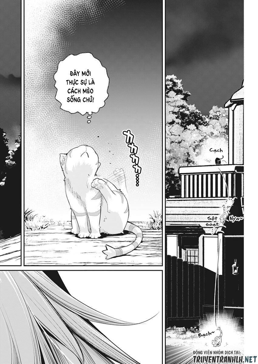"Behemoth" Hạng S bị nhầm là mèo và trở thành hiệp sĩ (thú cưng) của nàng Elf Chapter 38 - 23