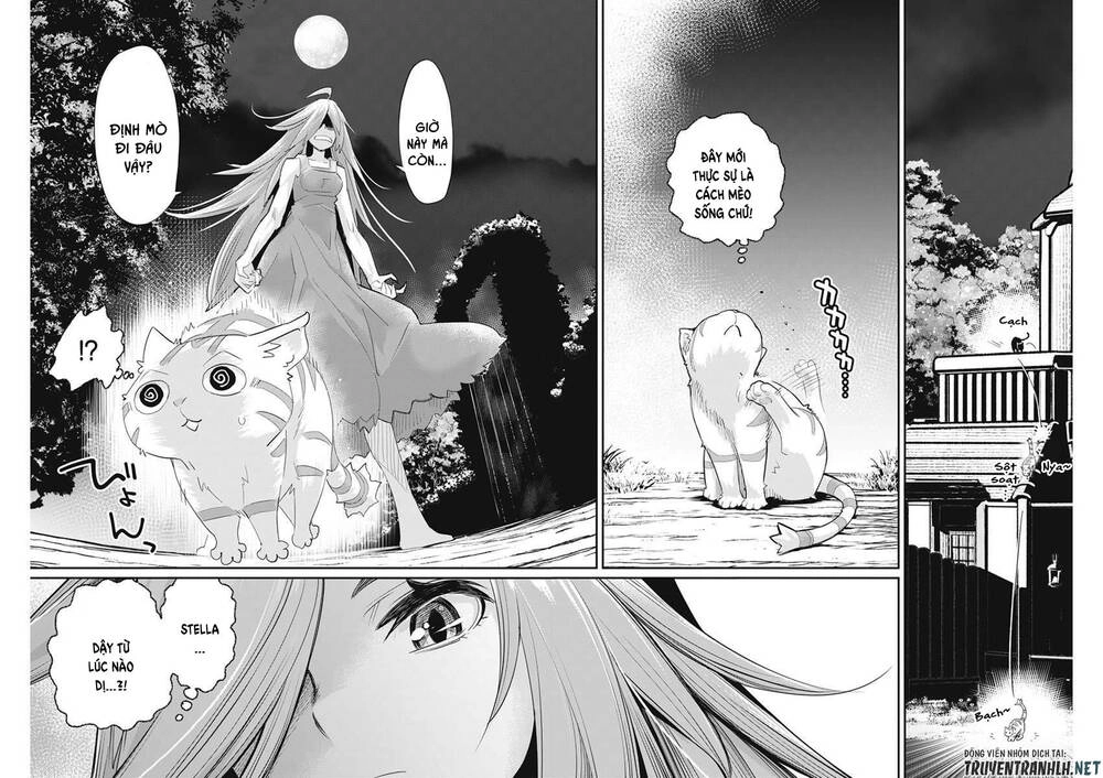 "Behemoth" Hạng S bị nhầm là mèo và trở thành hiệp sĩ (thú cưng) của nàng Elf Chapter 38 - 24