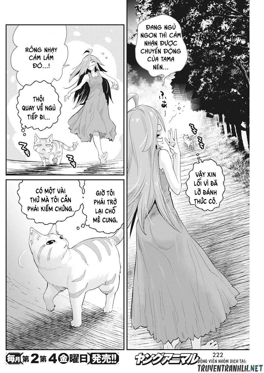 "Behemoth" Hạng S bị nhầm là mèo và trở thành hiệp sĩ (thú cưng) của nàng Elf Chapter 38 - 26